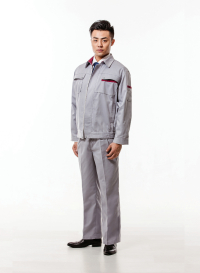 维保服展示